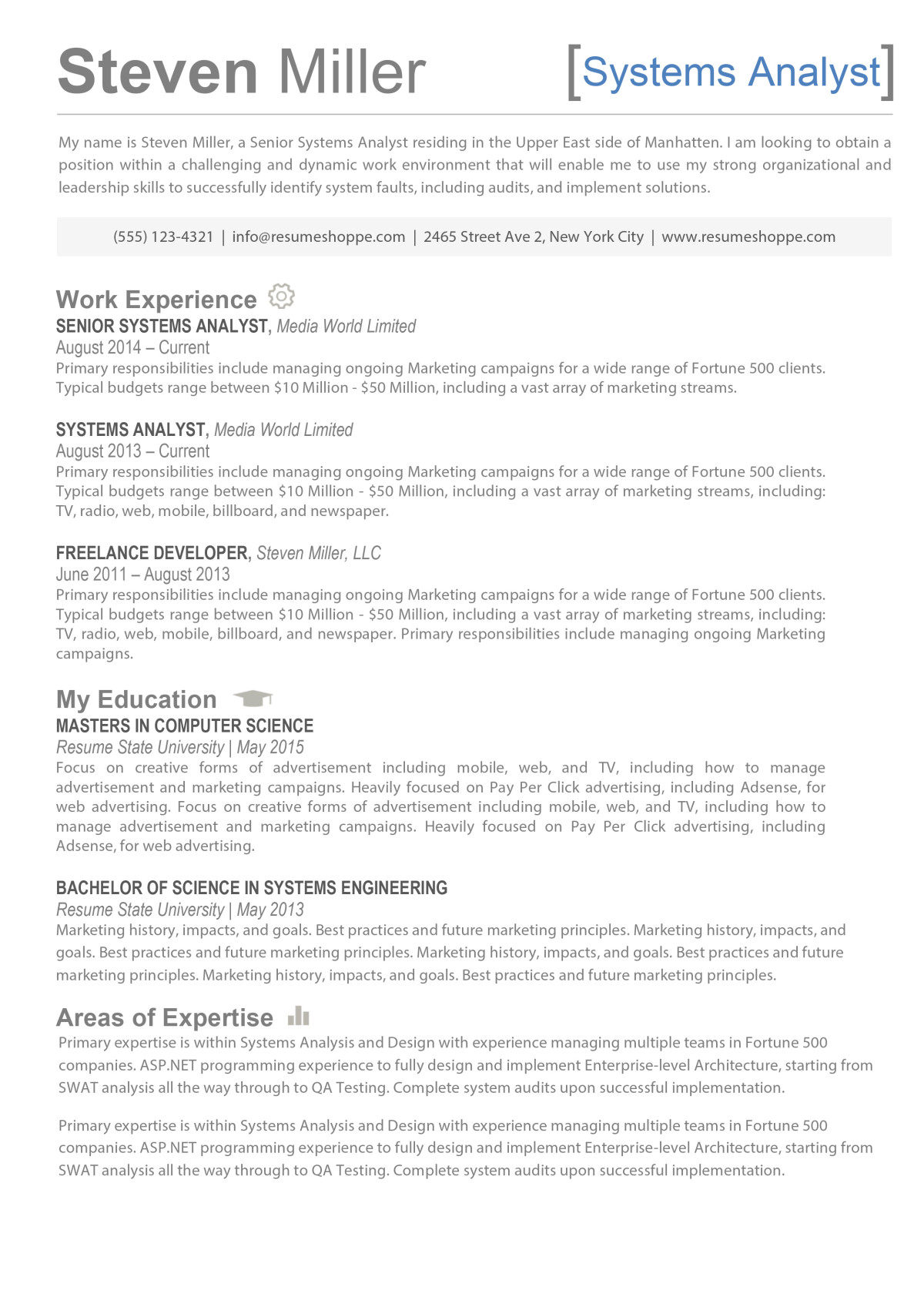 The Steven Resume - Creative Resume for IT Professionals