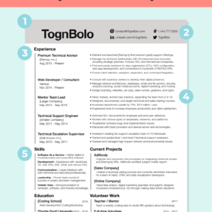 togn bolo resume review